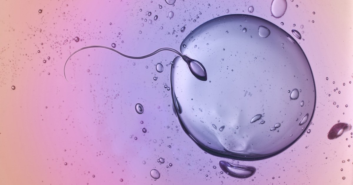 centro-dra-lu_fragmentacion-del-adn-en-el-esperma acupuntura e infertilidad