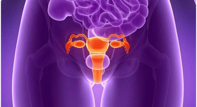 Cervicitis-Centro-acupuntura-dra.-Lu-en-Barcelona