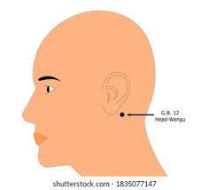 Dibujo con localización punto acupuntura Anmian para insomnio Centra Dra. LU en Barcelona